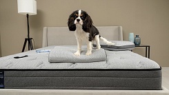 Матрас ARMOS Comfort Soft 8