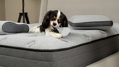 Матрас ARMOS Comfort Memo 8